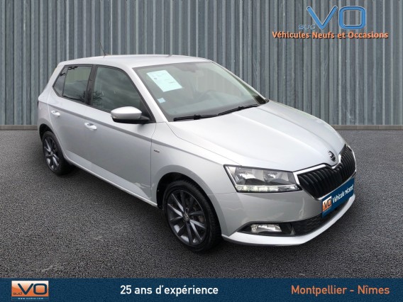 Photo du véhicule SKODA FABIA